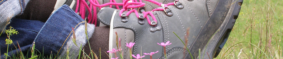 https://www.dagwandeling.nl/assets/images/sliders/wandeling-schoenen.png