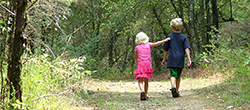 Kindvriendelijke wandelingen